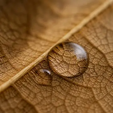 /macro — Fotografia macro